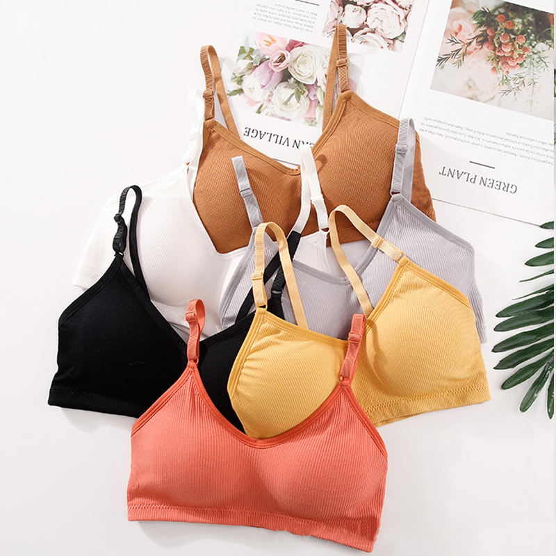T Shirt Bra Seamless - Sutiã Sem Fio de Verão para